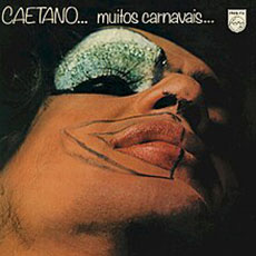 Banner - Muitos Carnavais